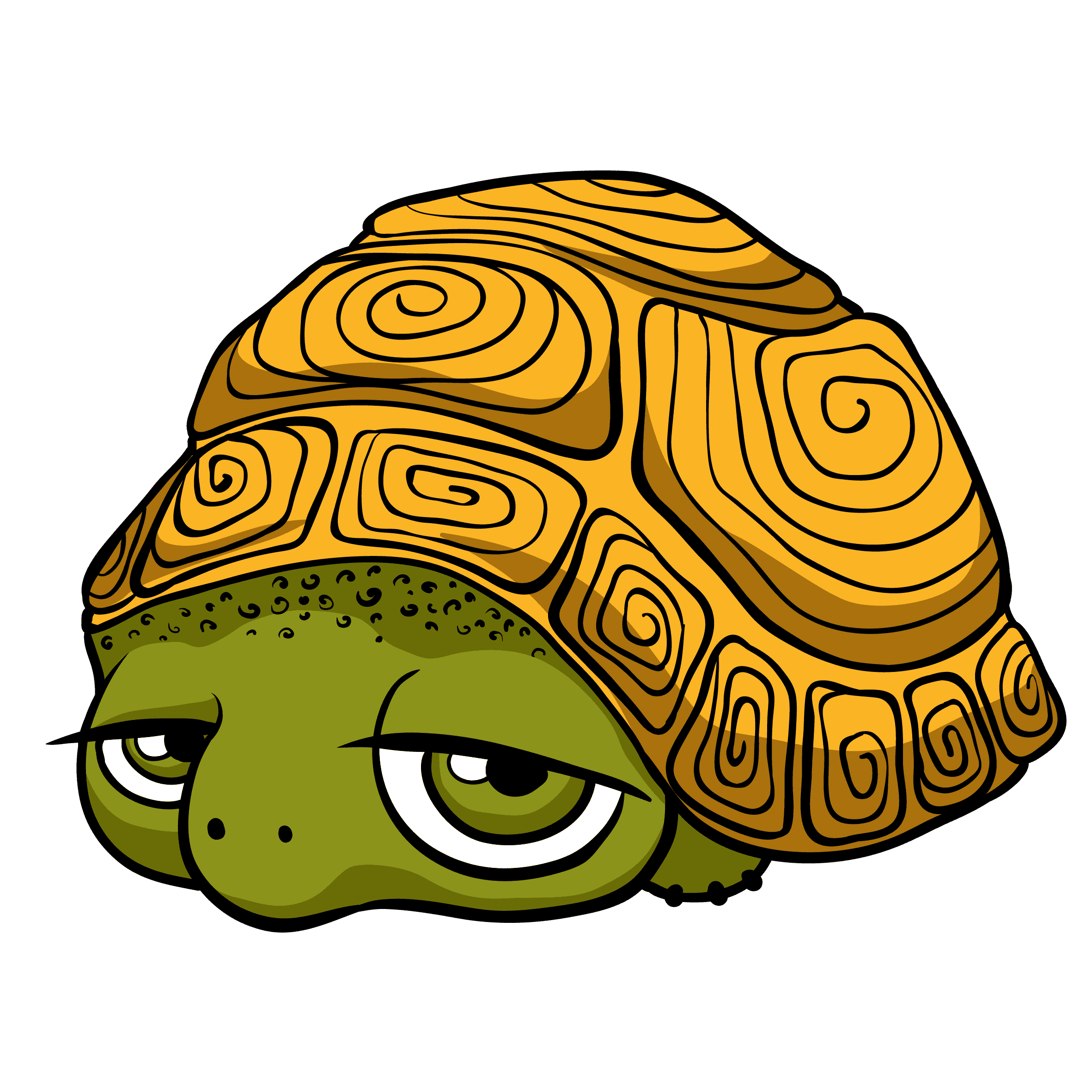 Turtle